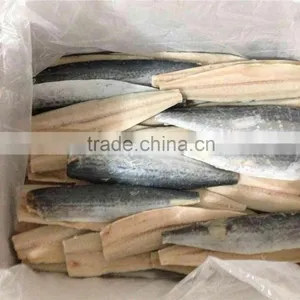 Bone off Frozen Spanish Mackerel Fillet and Scomberomorus Niphonius thumbnail-5