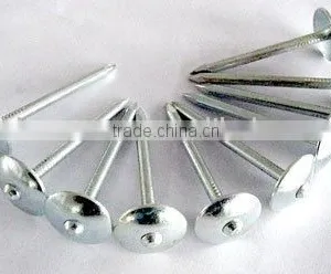 Umbrella Head Roofing Nails thumbnail-1