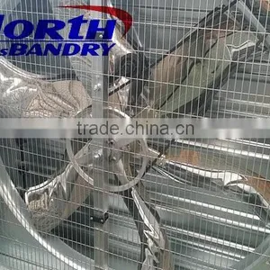 Exhaust Cooling Fan Made Hot Galvanized Steel Sheet Frame for Greenghouse Ventilation thumbnail-3