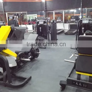 Pure Strength Gym Equipment/Hammer Strength Machine TZ-6074 Biceps/China TZFITNESS thumbnail-4