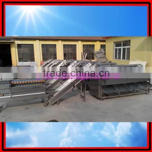 Potato/Carrot/Ginger Washer Peeler and Sorter|Onion Washing and Grading Machine thumbnail-1