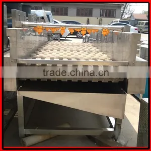 Automatic Brush Date Cleaning Machine|Ginger Washer and Cleaner Machine thumbnail-3