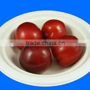 Eco-green 100% Biodegradable Bagasse 480ml Round Bowl thumbnail-1