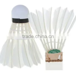 Training Head Cheap Aeroplane Shuttlecock Goose Feather Badminton thumbnail-4
