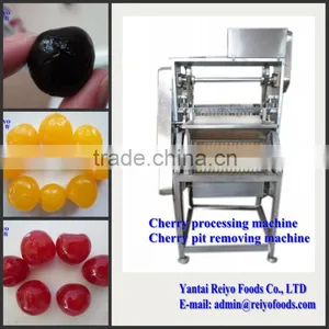 Cherry Seed Removing Machine / Cherry Pitting Machine thumbnail-1
