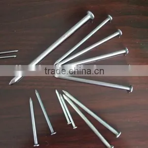 Common Nail thumbnail-4