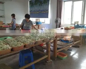 Shengzhou Kaile Recreation Co., Ltd. company overview - view 1 thumbnail