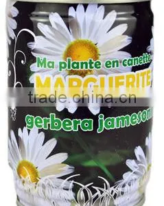Flower Can,can Flower,flower Tin thumbnail-5