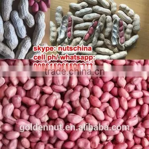 Chinese Red Skin Peanuts 50/60 Shandong FOR MACEDONIA /ALBANIA/NETHERLAND/TUNISIA thumbnail-1
