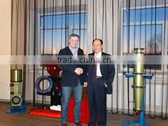 Shijiazhuang Damei Kingmech Pump Co., Ltd. company overview - view 1 thumbnail