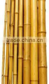 Bamboo Pole thumbnail-1