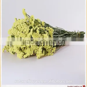 Forget me Not Flower to Make Flower Bouquets thumbnail-3
