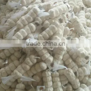 Chinese Pure White Garlic thumbnail-5
