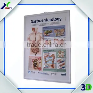 Human Body Anatomy 3d Wall Poster/embossed Cubic Medical Poster thumbnail-6