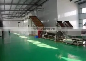 Longyao County Xuri Food Co., Ltd. company overview - view 3 thumbnail