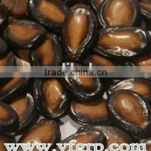 Organic Fresh Big Raw Green Peel Red Meat Seeded Watermelon Seeds For Cultivation thumbnail-3