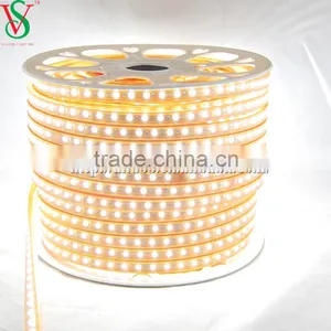 SMD 5050 Rope Strip Light thumbnail-3