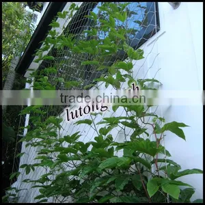 Stainless Steel Ivy Screen Cable Mesh thumbnail-1