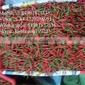 Chili Peppers thumbnail-3