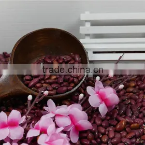 Small Red Kidney Bean 2016 Crop Good Price High Quality thumbnail-6