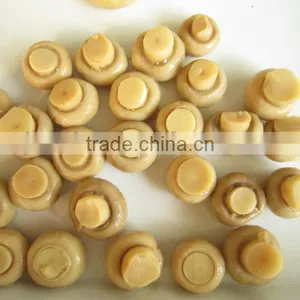 Canned Mushroom Whole thumbnail-4
