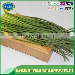 2016 Garlic Sprout,garlic Sprout Price thumbnail-1