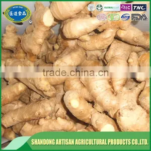 Air Dried Ginger thumbnail-3