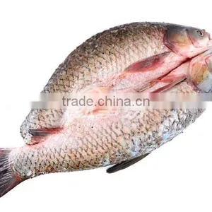 Industrial Powerful Fish Belly Splitting Machine thumbnail-5