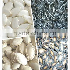 Hgh Quality Roasted and Saltd Pumpkin Seeds 11cm,12cm,13cm thumbnail-2