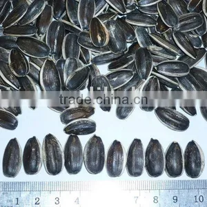 Sunflower Seeds 5135,5009 New Crop thumbnail-1
