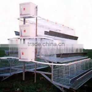 A Type Automatic Chicken Layer Battery Cage thumbnail-1