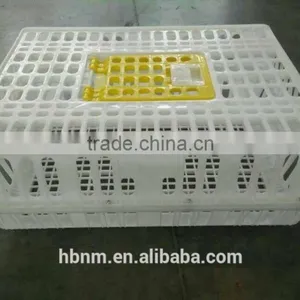 China Best Price Plastic Chicken Transport Cage for Poultry Farms thumbnail-1