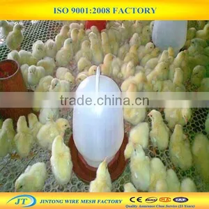 Factory Supply Plastic Chicken Wire Mesh thumbnail-2