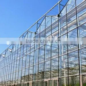 Hydroponic Growing Greenhouse thumbnail-2