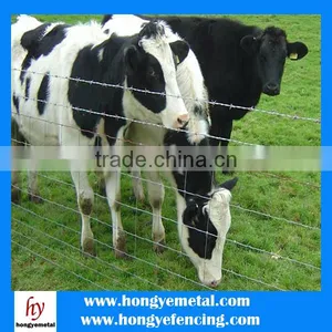 Sheep Wire Netting thumbnail-5