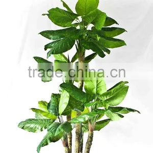Wholesale Indoor Use Bonsai thumbnail-4
