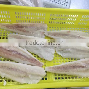 Alaska Pollock Fillet thumbnail-2