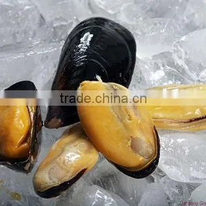 Frozen Half Shell Blue Mussel Meat thumbnail-1