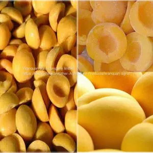 Preserved Fruit thumbnail-1