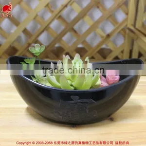 Artificial Mini Plant Potted Succulent Combination Mini Succulent thumbnail-3