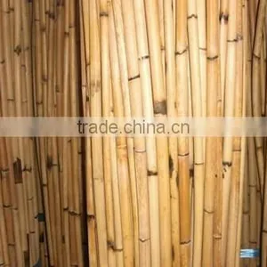 Rattan Kerai Cane thumbnail-2