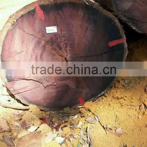 Suriname PRH / Purpleheart Log thumbnail-1