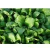 OFFER:frozen Komatsuna thumbnail-1