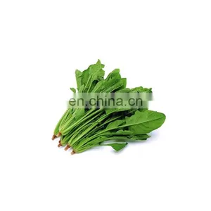 Factory Supply Wholesale Price Natural Organic Spinach Extract Beta Ecdysterone thumbnail-2