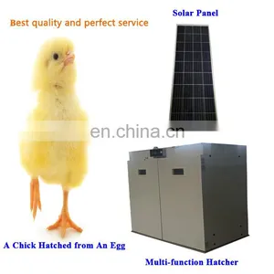 Chicken Egg Incubator Industrial Poultry Egg Incubators Automatic 5000 Hatching Eggs Hatchery Machine Price Wholesale thumbnail-2