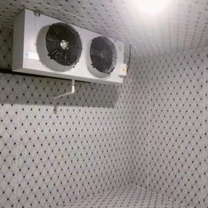 Rapid Freezing Room，Sub-zero Cold Storage，Small Vegetable Cold Room thumbnail-1