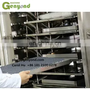 Factory Genyond Vacuum Lyophilization Lyophilized Freeze Dried FD Food Making Machine Lyophilizer Freeze Drying Machine thumbnail-3