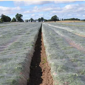 Factory Supply High Quality Cheap Price Anti Insect Net for Greenhouse Cover thumbnail-4