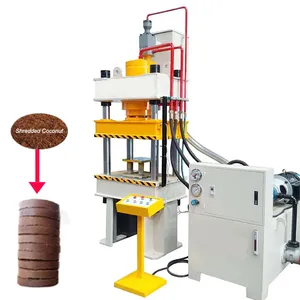 Door Press Machine Wood Embossing Machine Servo Hydraulic Press for Sale thumbnail-3