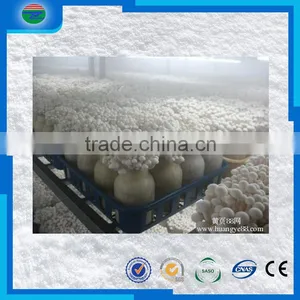 Cold Storage, Cold Room Price , Cold Storage for Meat/fish/fruit/vegetable/flower thumbnail-4